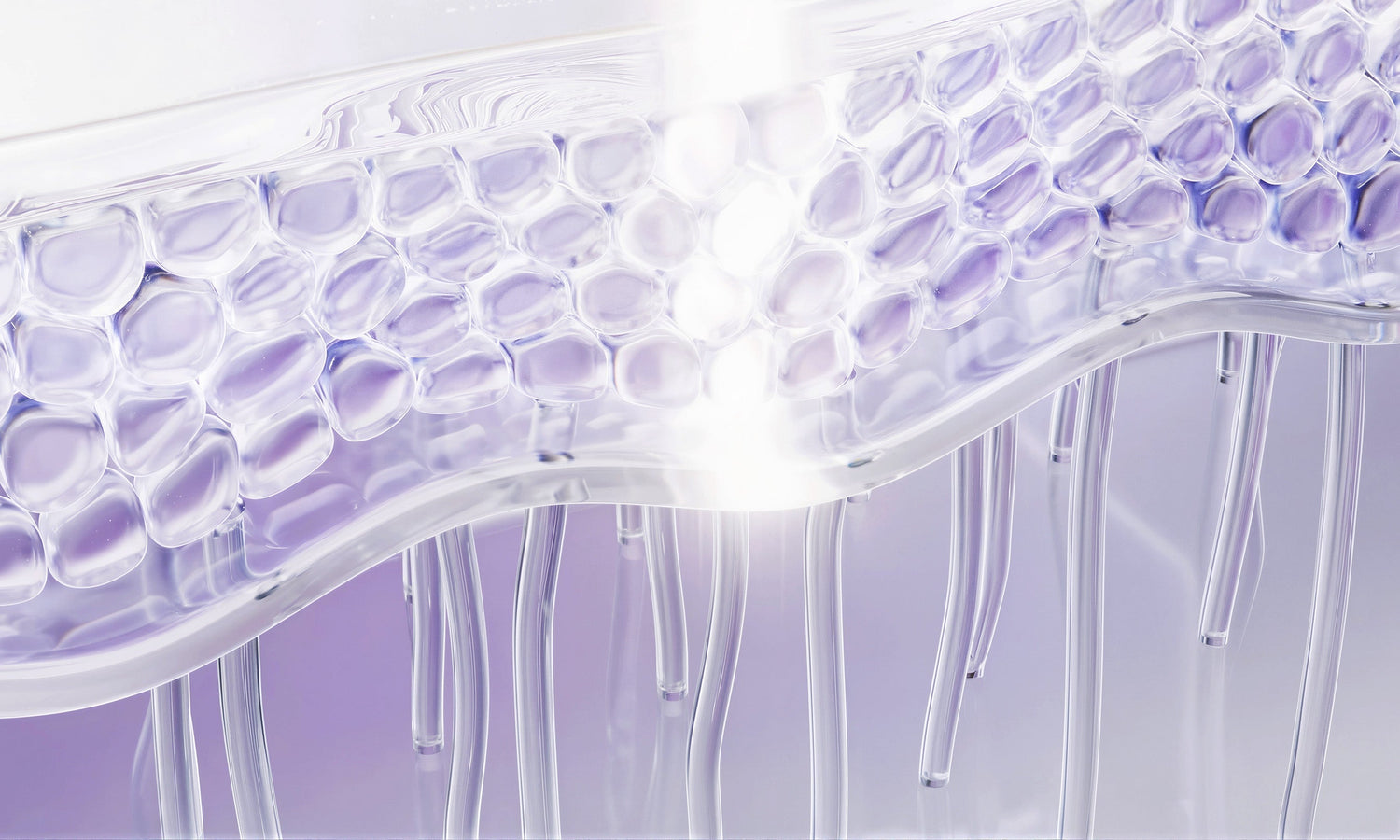 Wavelenghts of UV and Skin Ageing Visual