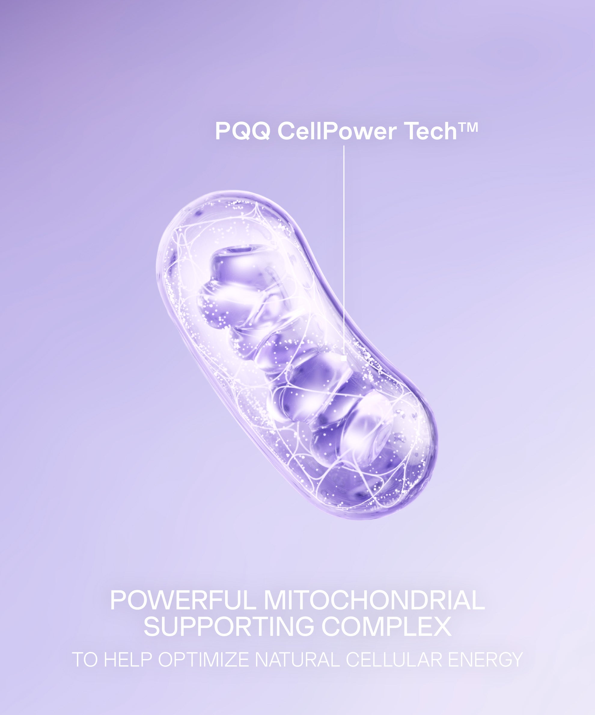 Technologie PQQ CellPower Sérum Nuit Recharge SUNLUTION