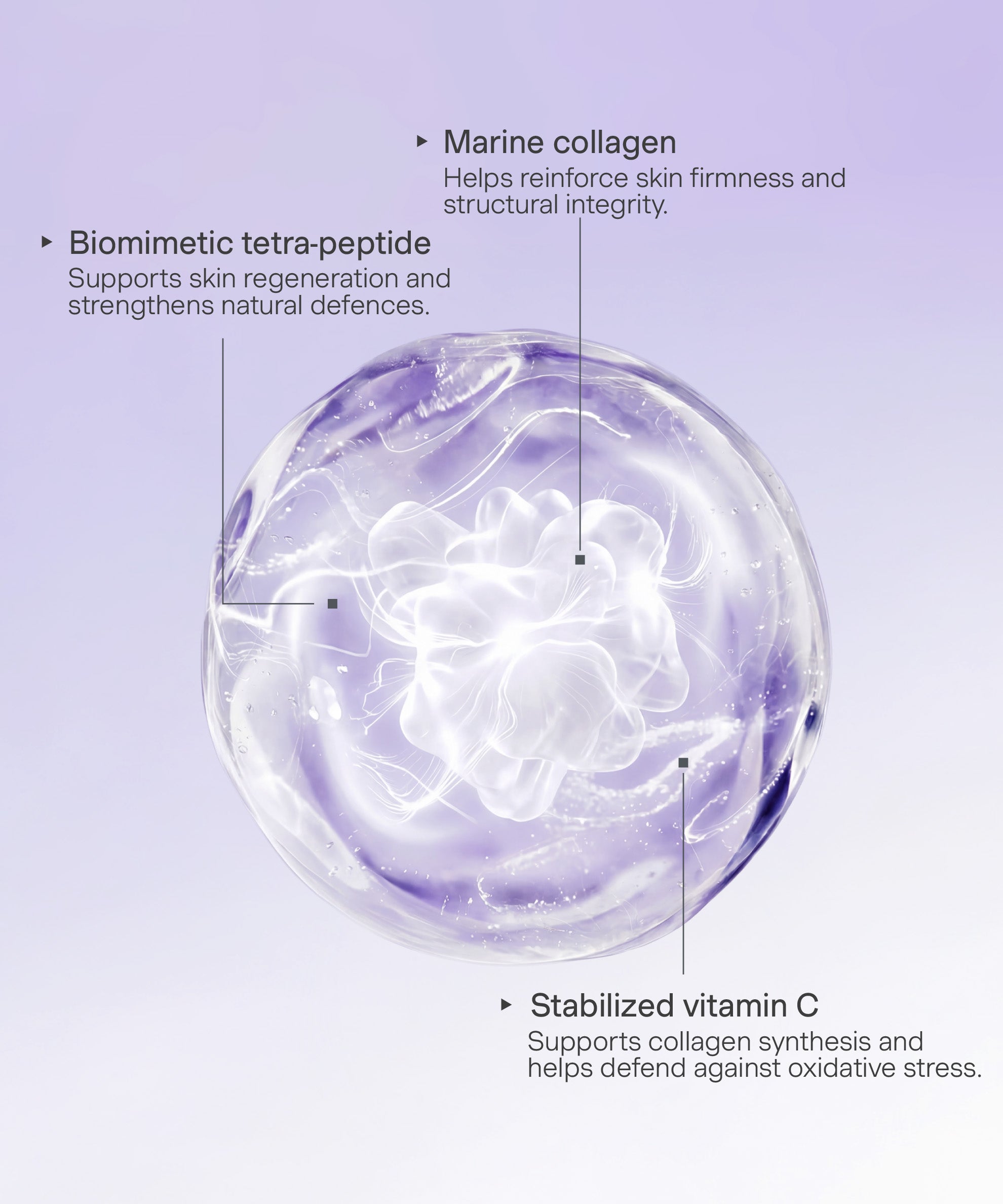 Ingredients Collagen Cream ENG