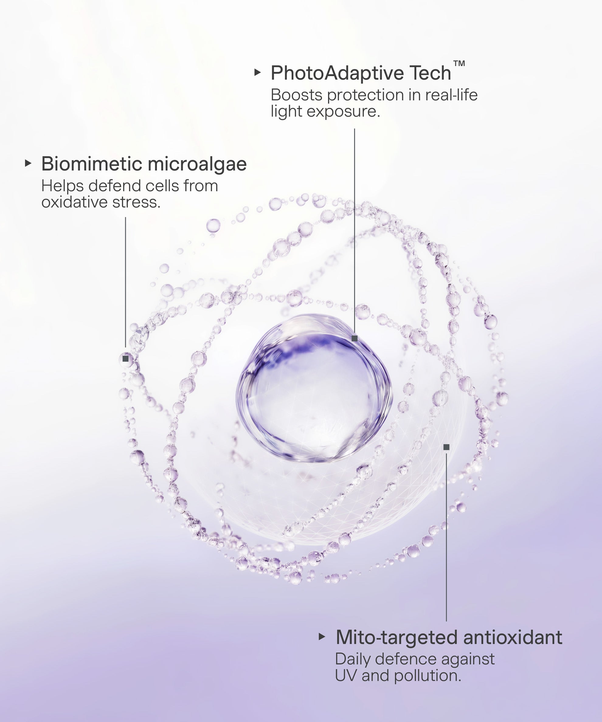 Ingredient details Daily Fluid